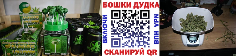 Canna-Cookies марихуана  Чкаловск 
