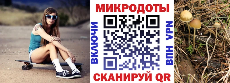 Галлюциногенные грибы GOLDEN TEACHER  Чкаловск 